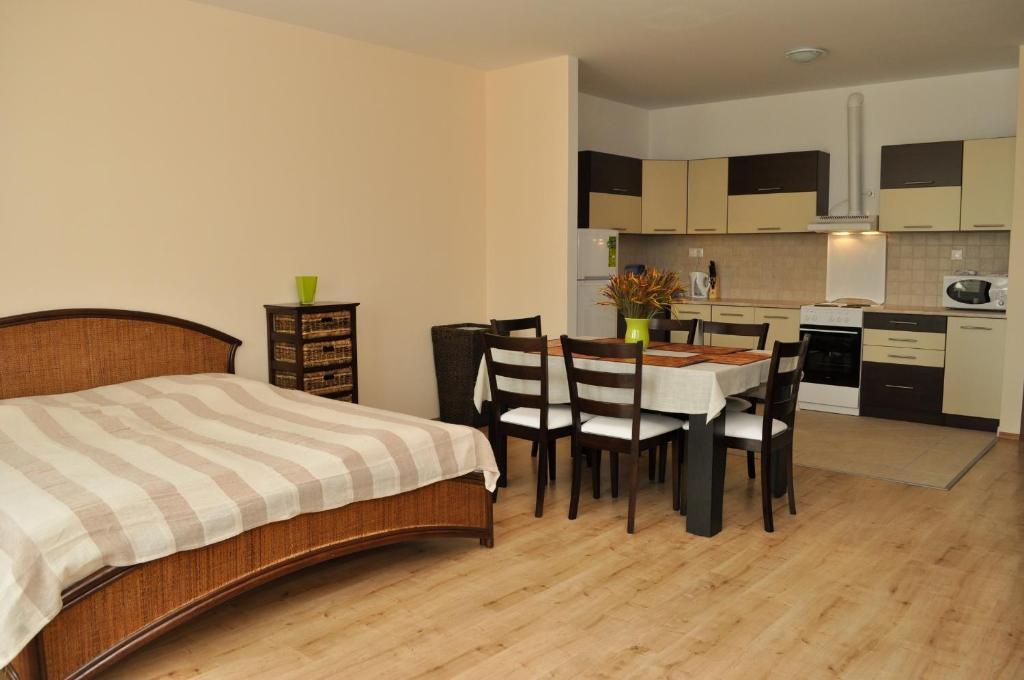 Tisza Palota Apartmanok Сегед Номер фото